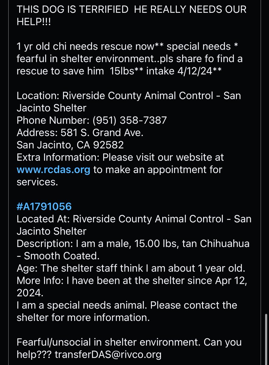 #k9hour
This little #chi in #SanJacinto #California #A1791056 #RCDAS has special needs & needs a special adopter or rescue & foster hero. Please share him. Thank you! 🙏🏽🐶🏡♥️ #FostersSaveLives 
24petconnect.com/RVSDRescueSanJ…