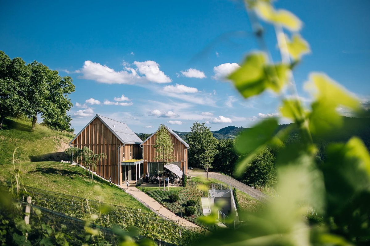 SmartAgroGrape's tweet image. KAJ PRAVIJO VINARJI✒️
&quot;Sodelovanje na projektu nam je prineslo boljše predvidevanje in spremljanje razvoja bolezni v vinogradih. Prav tako je bila zelo pozitivna izmenjava izkušenj in idej z ostalimi vinogradniki, ki so vključeni v projekt. Veseli smo, da smo del projekta SAG.&quot;