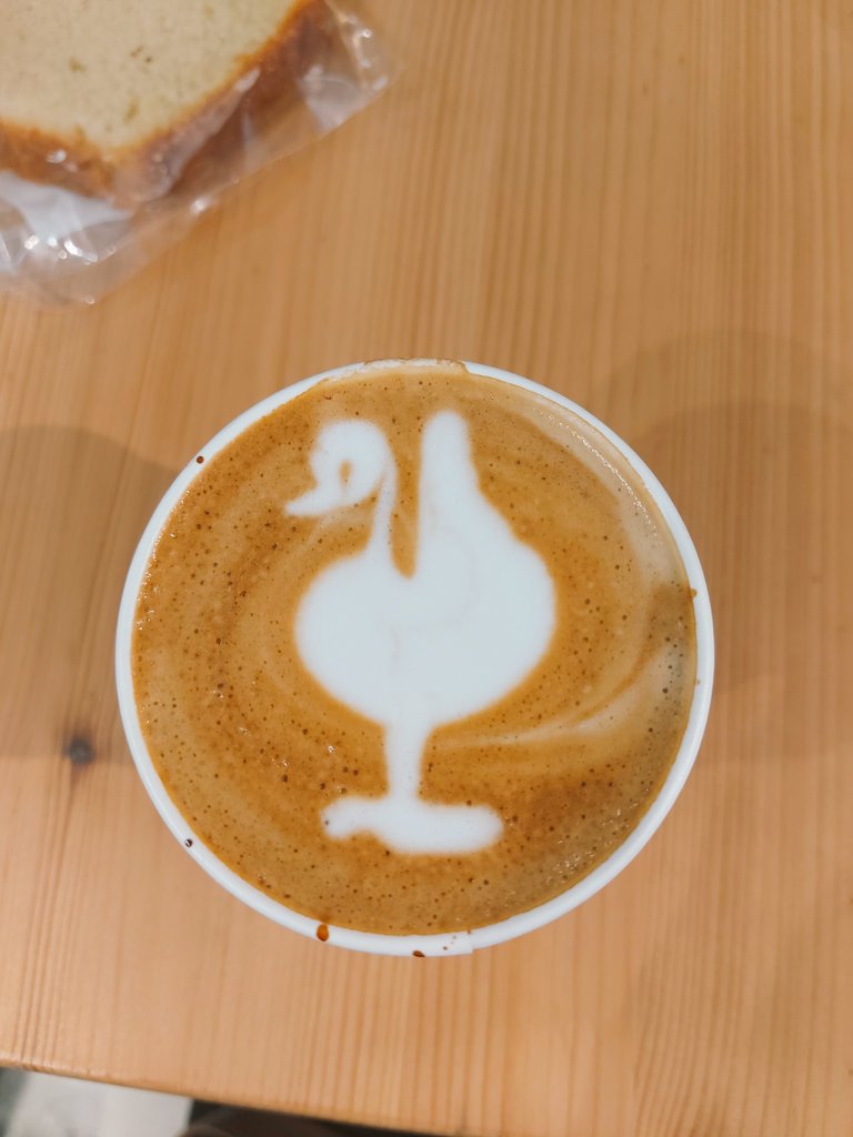 Lauren Constance tweet media