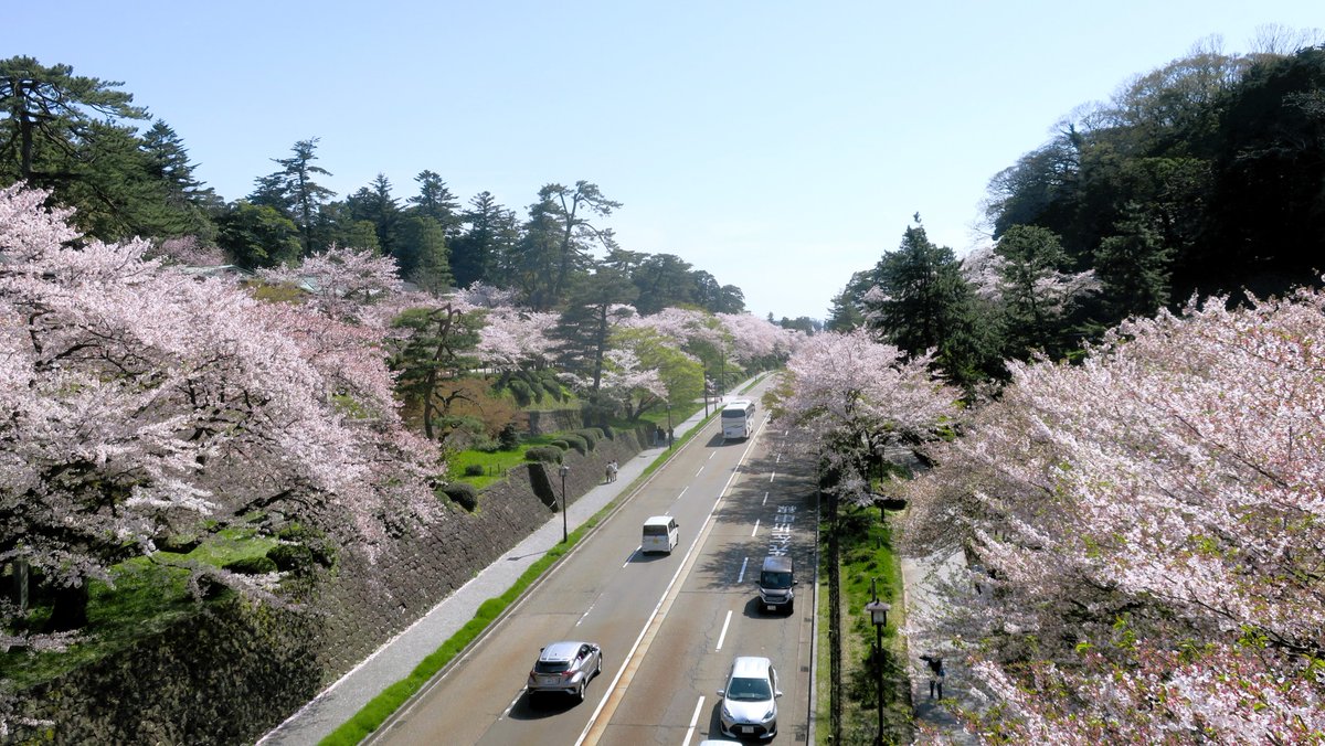 These are the last photos from this trip to Ishikawa Prefecture. These four photos were all taken around Kanazawa Castle. We were lucky with the weather on this trip, and happy to be able to make it just in time to see the cherry blossoms. #金沢城