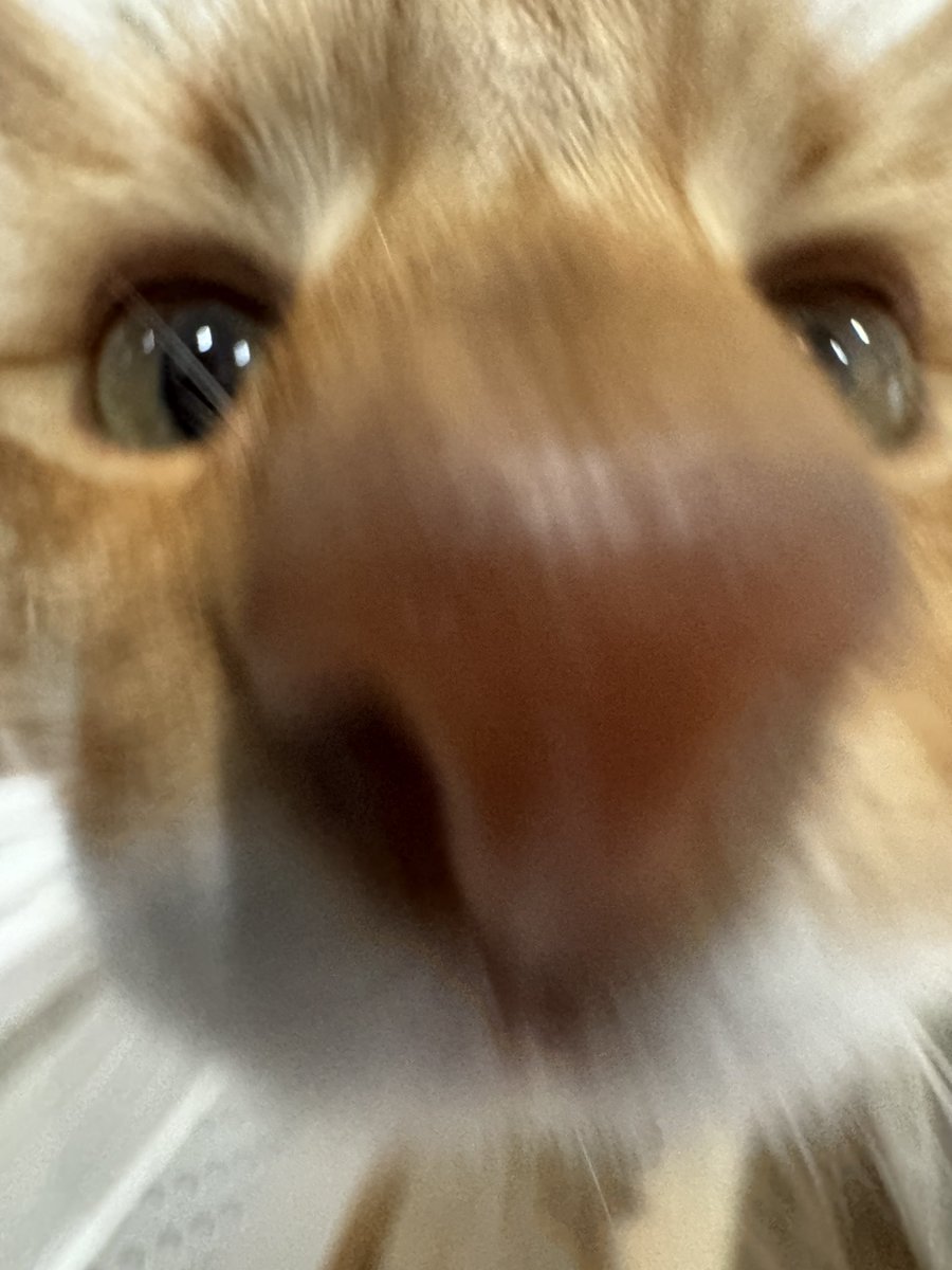 Got any games on ur phone? 👁️👄👁️