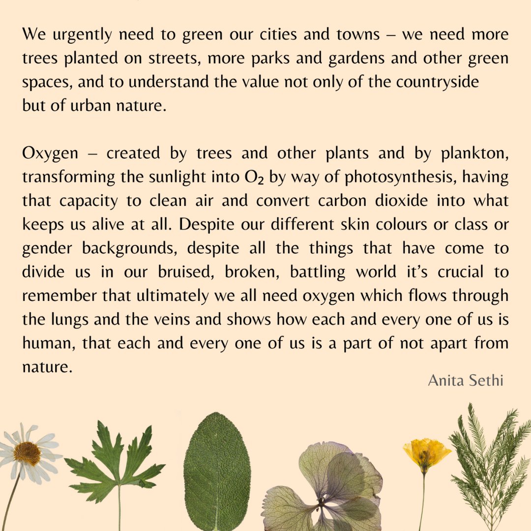 Happy #EarthDay2024 from Commonword 🌎 To mark and celebrate this day we are sharing quotes from our recently published Dreaming in Green anthology: issuu.com/cultureword/do… First an extract from 'Breathe, Keep Breathing' by @anitasethi