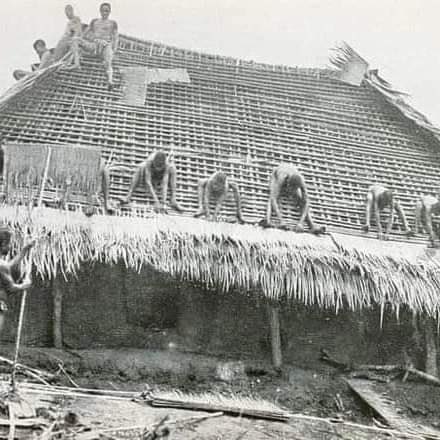By the way, the “send down the rain” roofing style in Igboland didn't start today. 😊 In those days, even up to the seventies, everyone was a landlord in Ignoland; there were no homeless people in any part of Igboland. Once a young man is ready to built a house, when he has