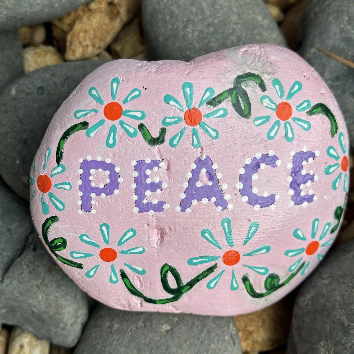 ClaireCookwrite's tweet photo. On my walk today: the perfect find on Earth Day!
#SSIRocks π πΆπ»ββοΈπΆπ»ββοΈπΆπ»ββοΈ https://t.co/HdrNdhQTYj