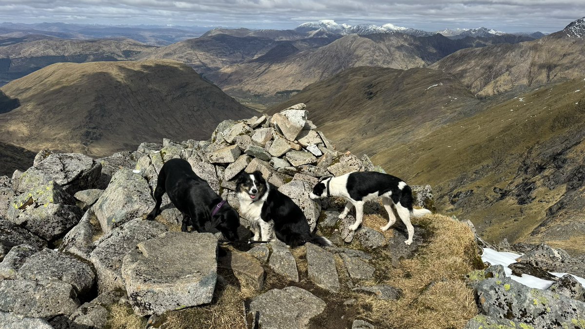 hopper68's tweet image. A stunning day on the Munro Sgurr na H-Ulaidh on Saturday. Good to get out again #munro #Scotland #GetOutside