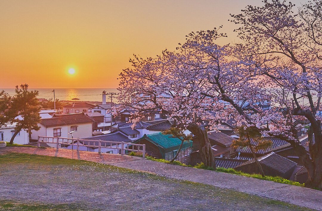 夕日と桜

#photography #sunset #sunsetphotography #cherryblossom #tokyocameraclub #東京カメラ部 #my_eos_photo #canonphotography #キヤノン党でほめあいたい