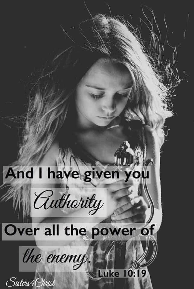 Authority belongs to the Believer 🙌👑⚔️🛡️⚔️🕊️♥️