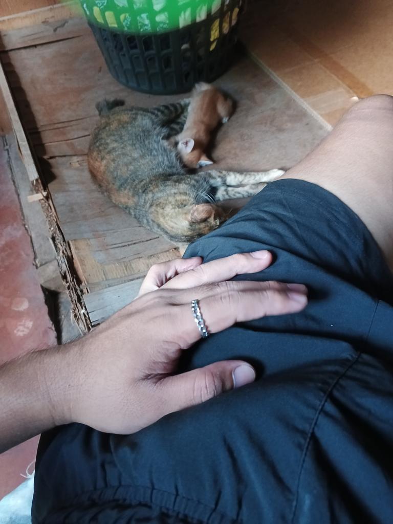 _stranger28's tweet photo. Totoy daw muna muning https://t.co/9DELcrEvkC