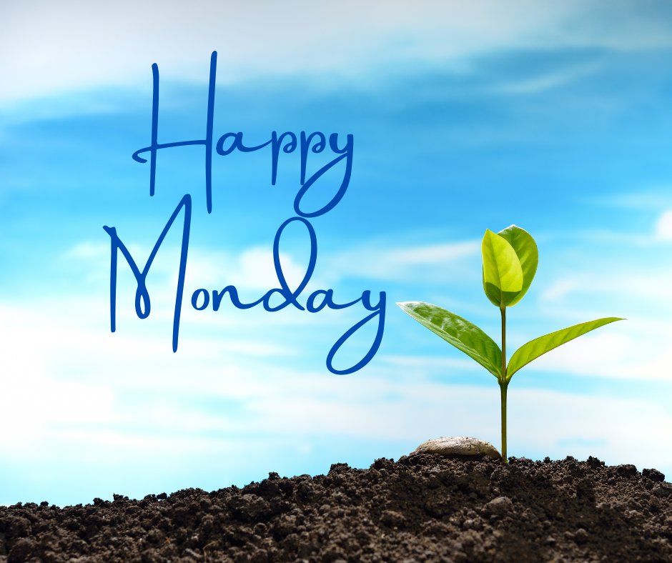 Happy Monday from Vital Signs Marketing! Hope you have a great week! #startyourweeek #haveagreatweek #happymonday
