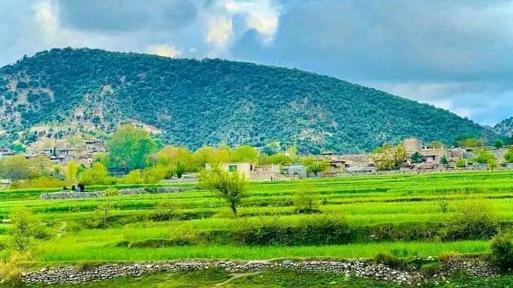 The beautiful spring vibes of Khost Afghanistan