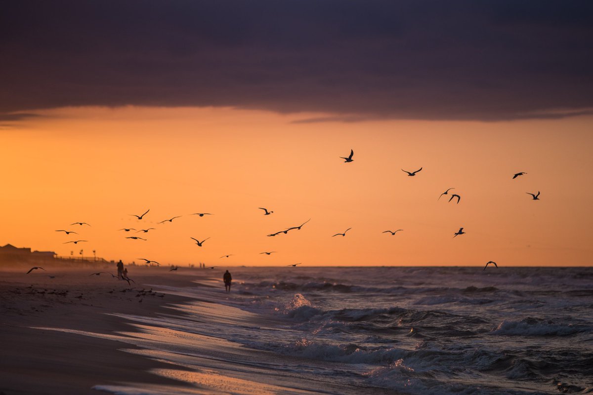 GovernorKayIvey's tweet image. Happy #EarthDay! Let&apos;s appreciate the God-given beauty of our state. With sandy beaches, rolling mountains and deep valleys, there’s a reason we’re known as Alabama the Beautiful. I encourage all Alabamians to get outside today and enjoy the natural beauty that surrounds us.