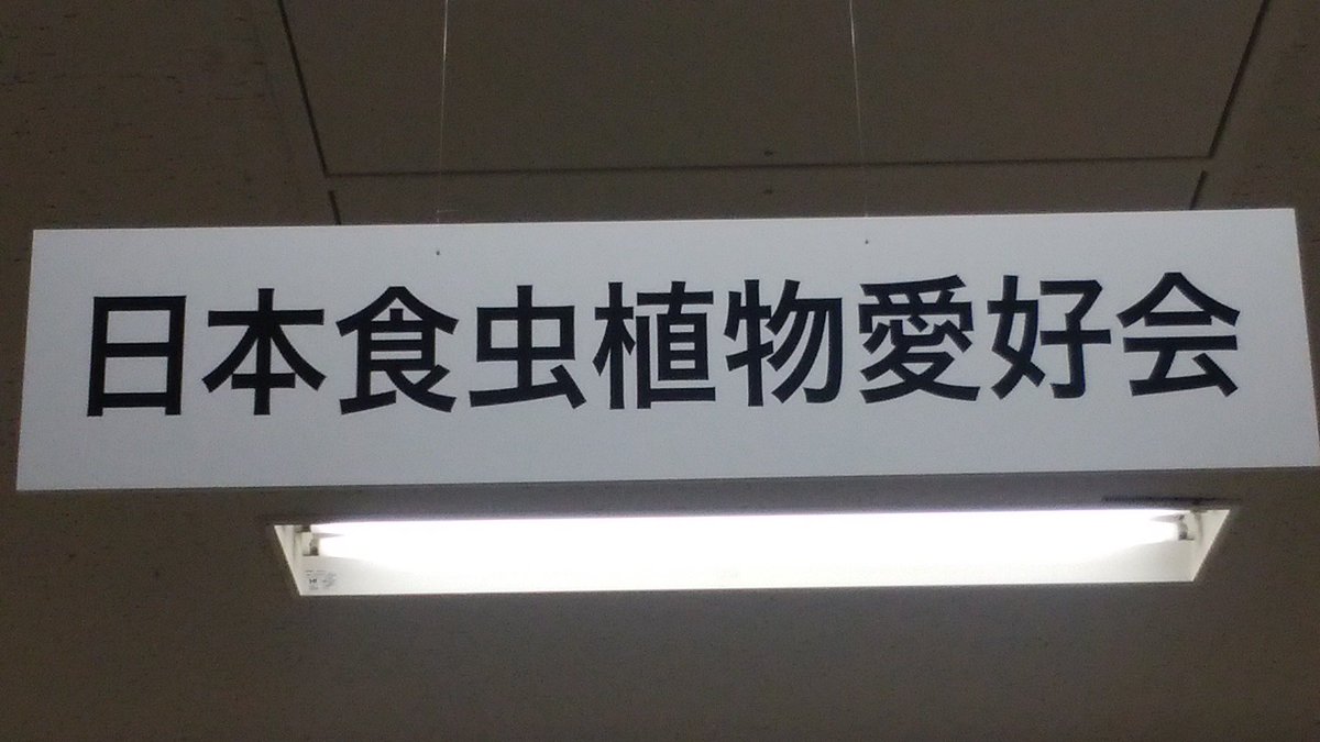 先日、池袋サンシャインで食虫植物即売会をやってきました☆お越し下さった皆様ありがとうございました❤️ #食虫植物即売会