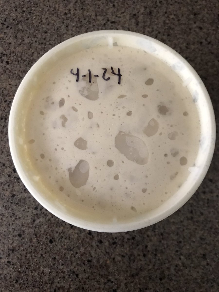 ckrx1's tweet photo. #Sourdough
#MakeBreadNotWar https://t.co/GBBh5vBunq