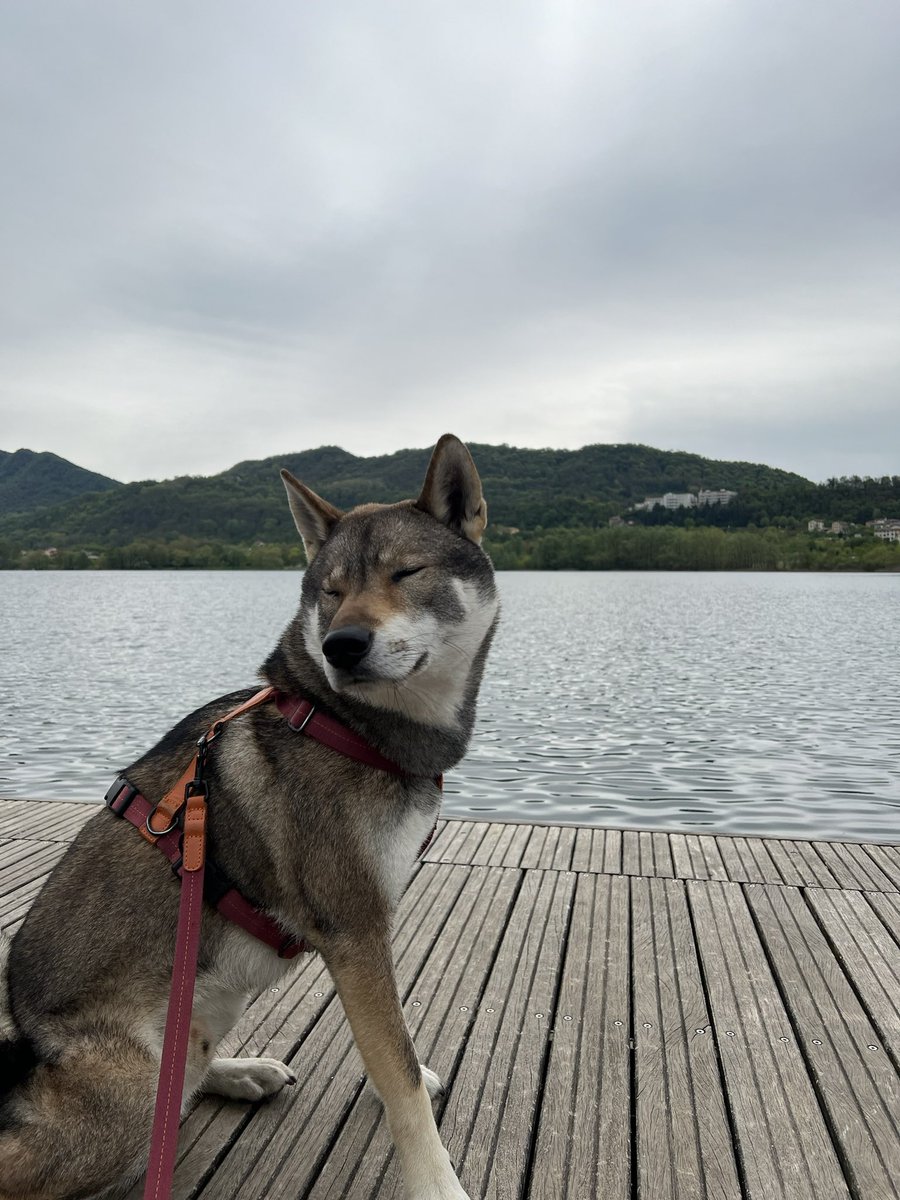sonoJeco's tweet photo. GM, 🚤 #shikoku https://t.co/AuYjNshbCs