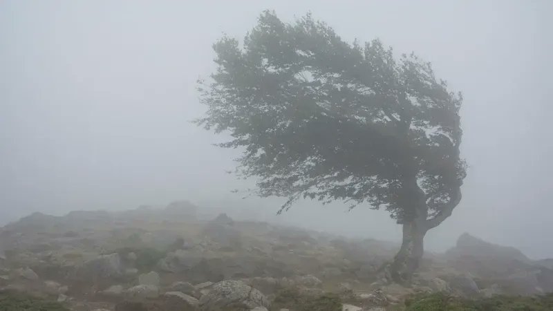 Meteorolojiden fırtına uyarısı: Kuvvetli geliyor! gaziantepolusum.com/haber/19948568… #SonDakika #Haber #Gündem #Fırtına #Uyarı #Yağış #Sağanak #Meteoroloji #Uyarı