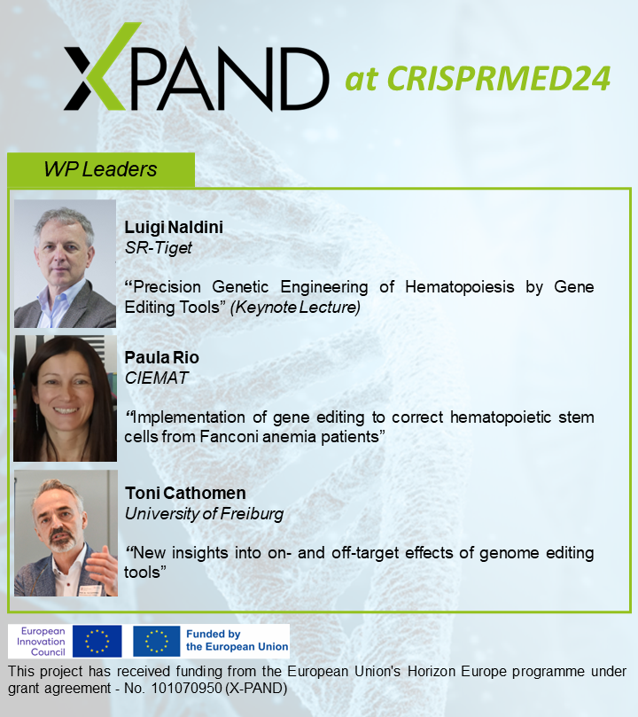 📣 Are you attending the CRISPR Medicine Conference 2024?

Do not miss the talks of X-PAND leaders <a href="/NaldiniLab/">Luigi NALDINI</a>, <a href="/PauFerrol/">Paula Río</a> and Toni Cathomen.

👉 Have a look at the full CRISPRMED24 Program here event.fourwaves.com/crisprmed24/sc…