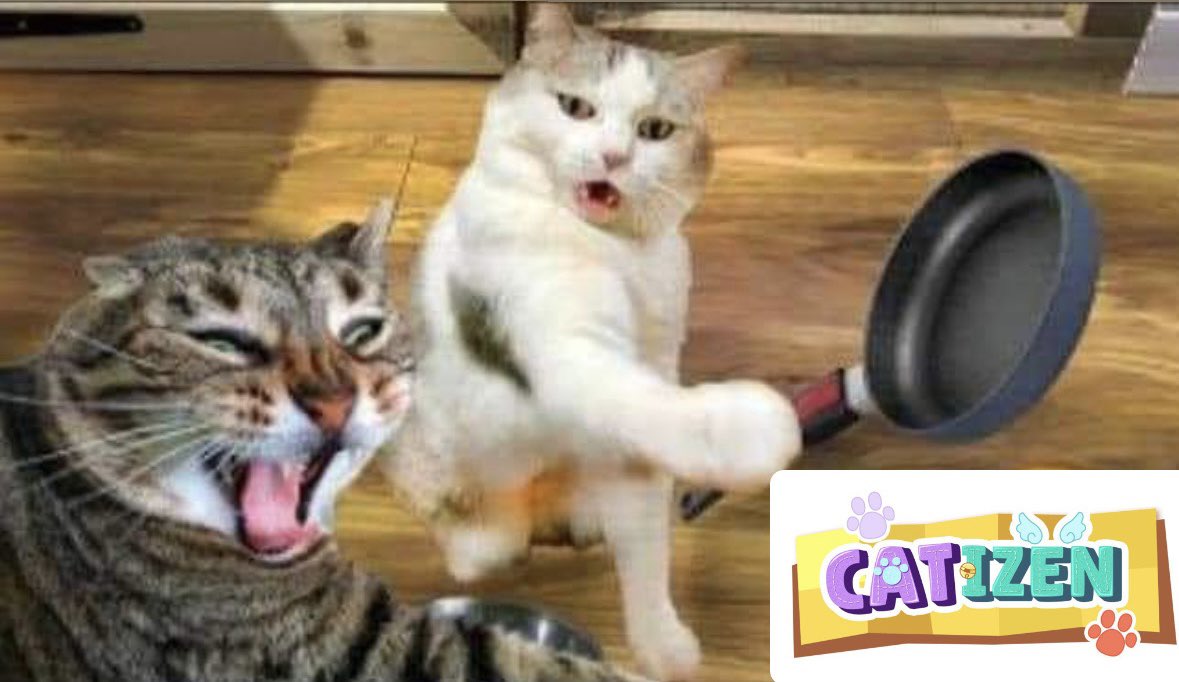 htetlay1982000's tweet photo. @CatizenAI 
UID : 3214638
#CatizenEvent https://t.co/C6XEjViX8L