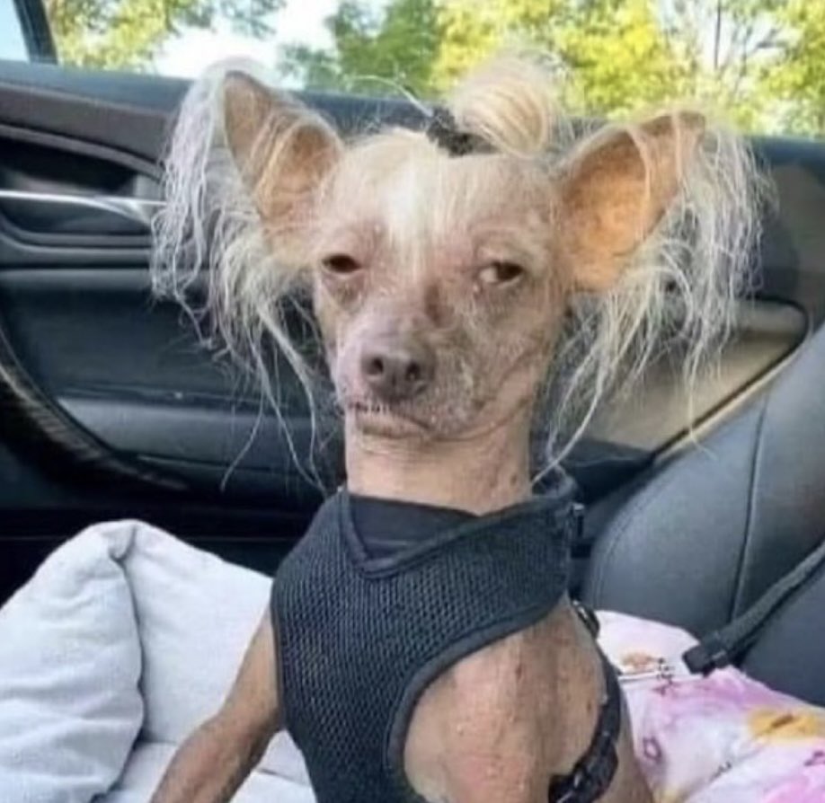 Me doy de baja de la suscripción a la gayagenda barcelonesa, no puc més… estoy muerta