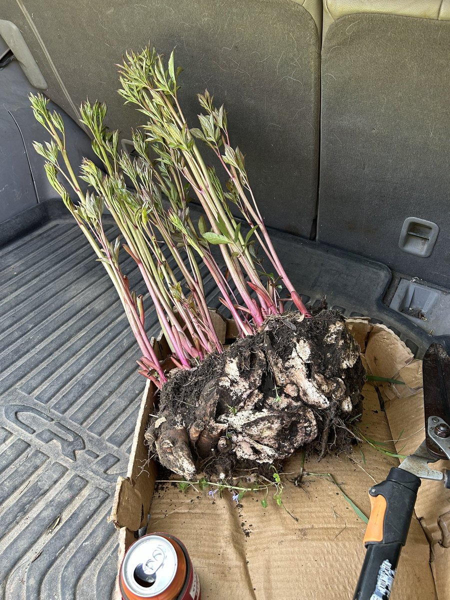 PlanetBlueberry's tweet photo. @bernabephoto #EarthDay2024 in Northeast Ohio! https://t.co/RyQQKbtORF