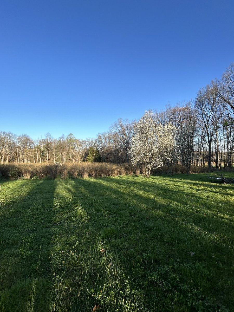 PlanetBlueberry's tweet photo. @bernabephoto #EarthDay2024 in Northeast Ohio! https://t.co/RyQQKbtORF