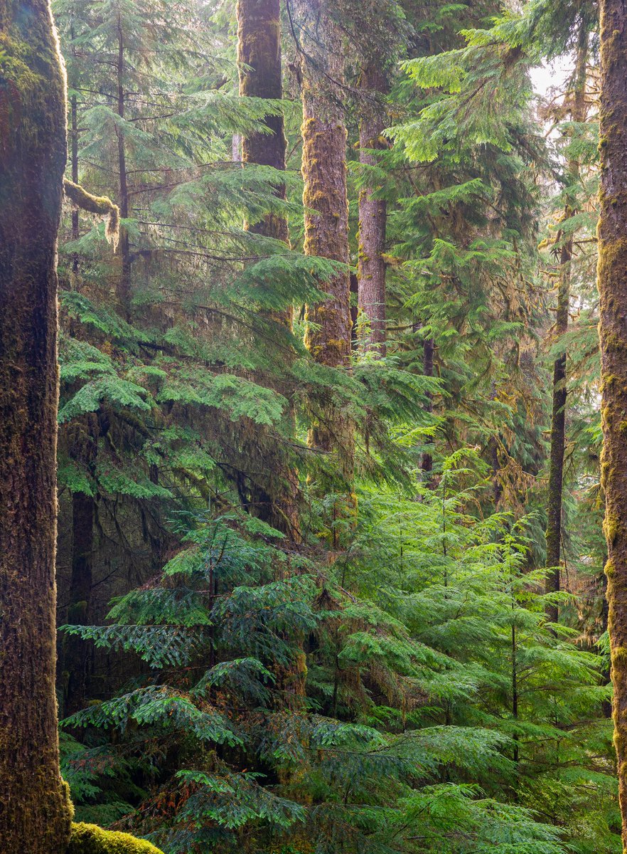 NathanGPhotos's tweet photo. @bernabephoto #EarthDay2024 https://t.co/OjyFLE1yNs