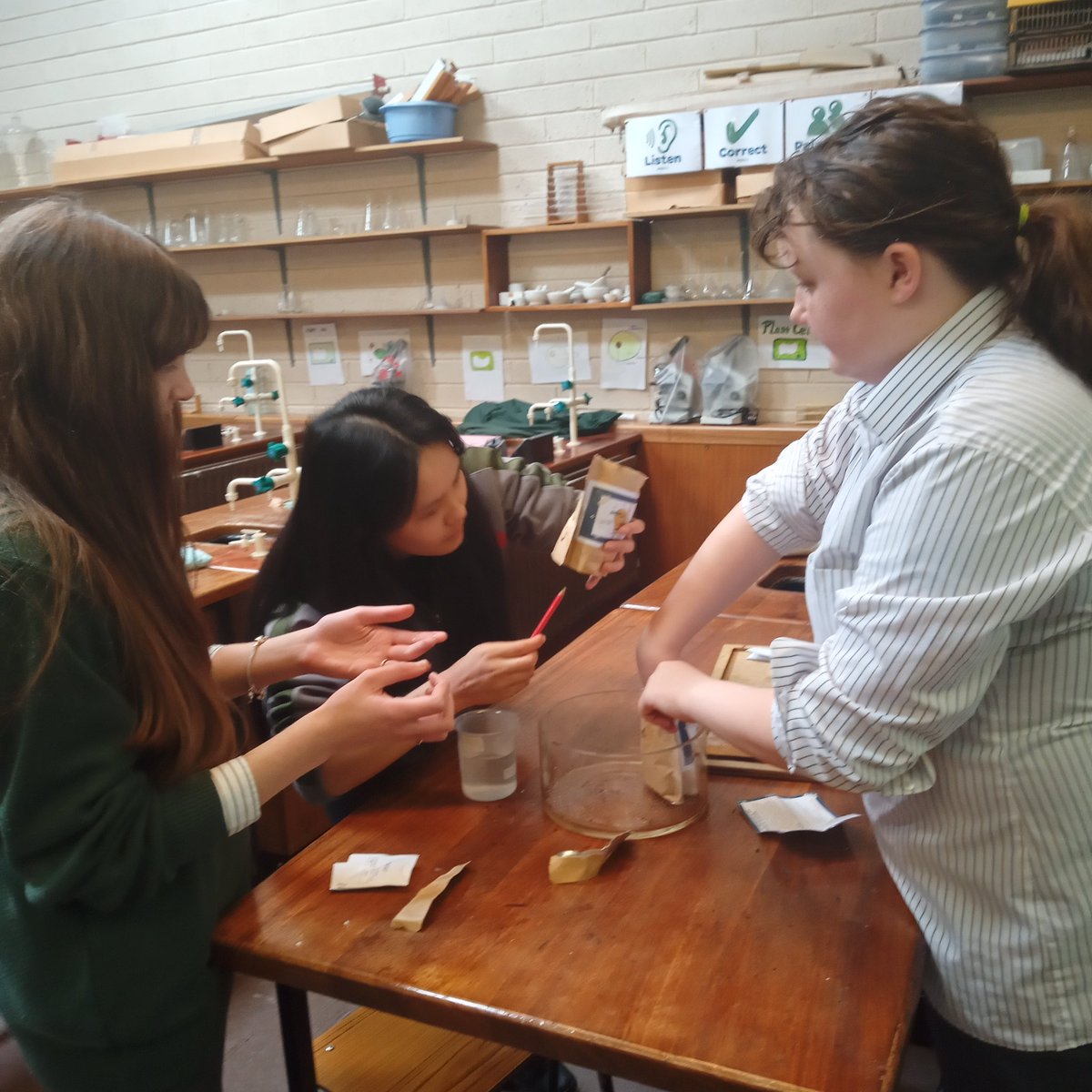 Pres_Bally's tweet photo. Transition year students planting peas with first year students as part of their Grow2CEO project. They have 5 challenges t odo and this was challenge one. Now which peas will perform the best? #presentationballyphehane #proudofourstudents https://t.co/P4CjEbooOp