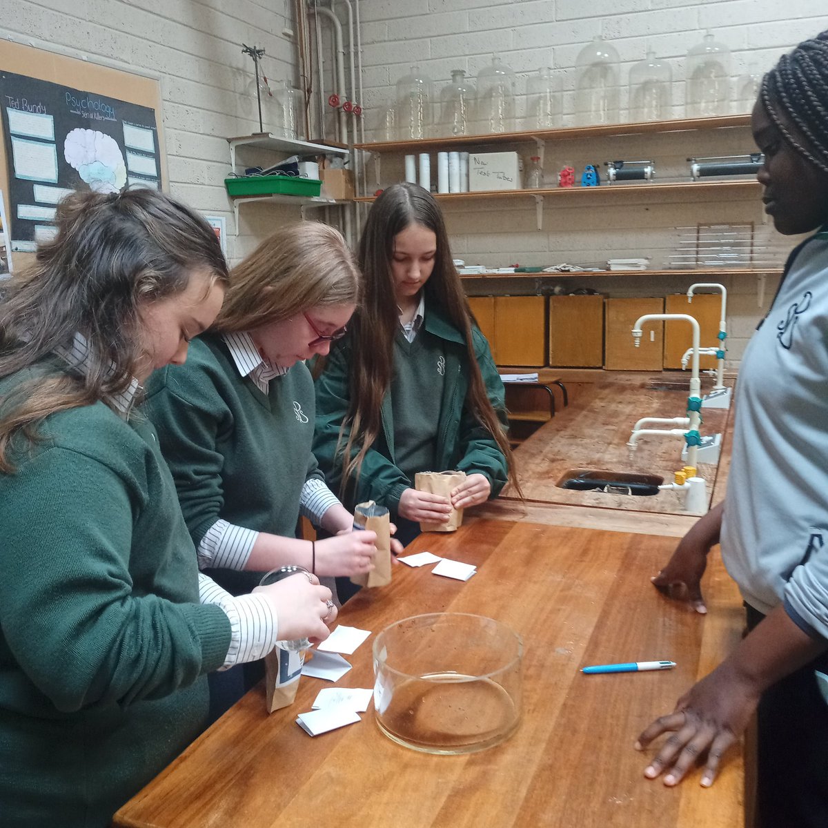 Pres_Bally's tweet photo. Transition year students planting peas with first year students as part of their Grow2CEO project. They have 5 challenges t odo and this was challenge one. Now which peas will perform the best? #presentationballyphehane #proudofourstudents https://t.co/P4CjEbooOp