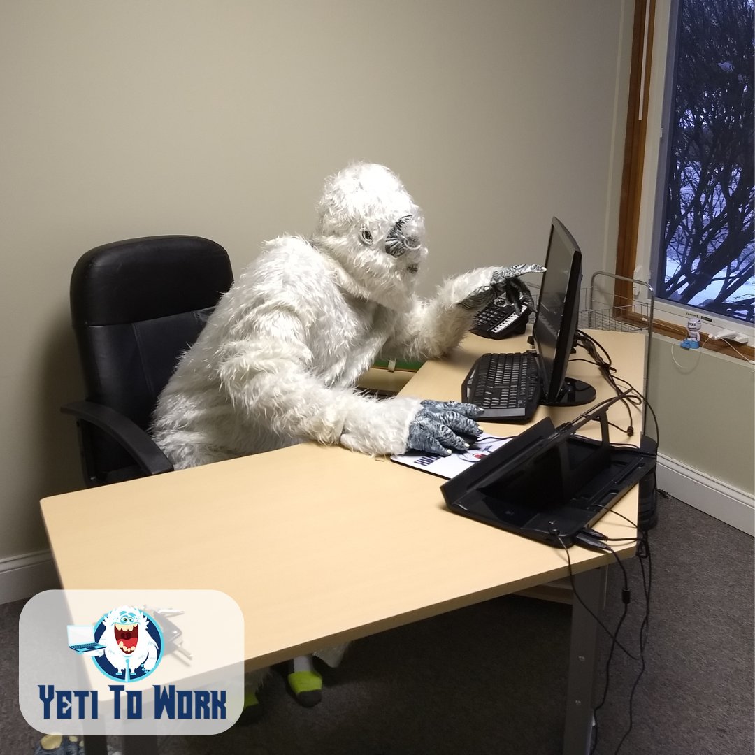 YetiToWork tweet picture