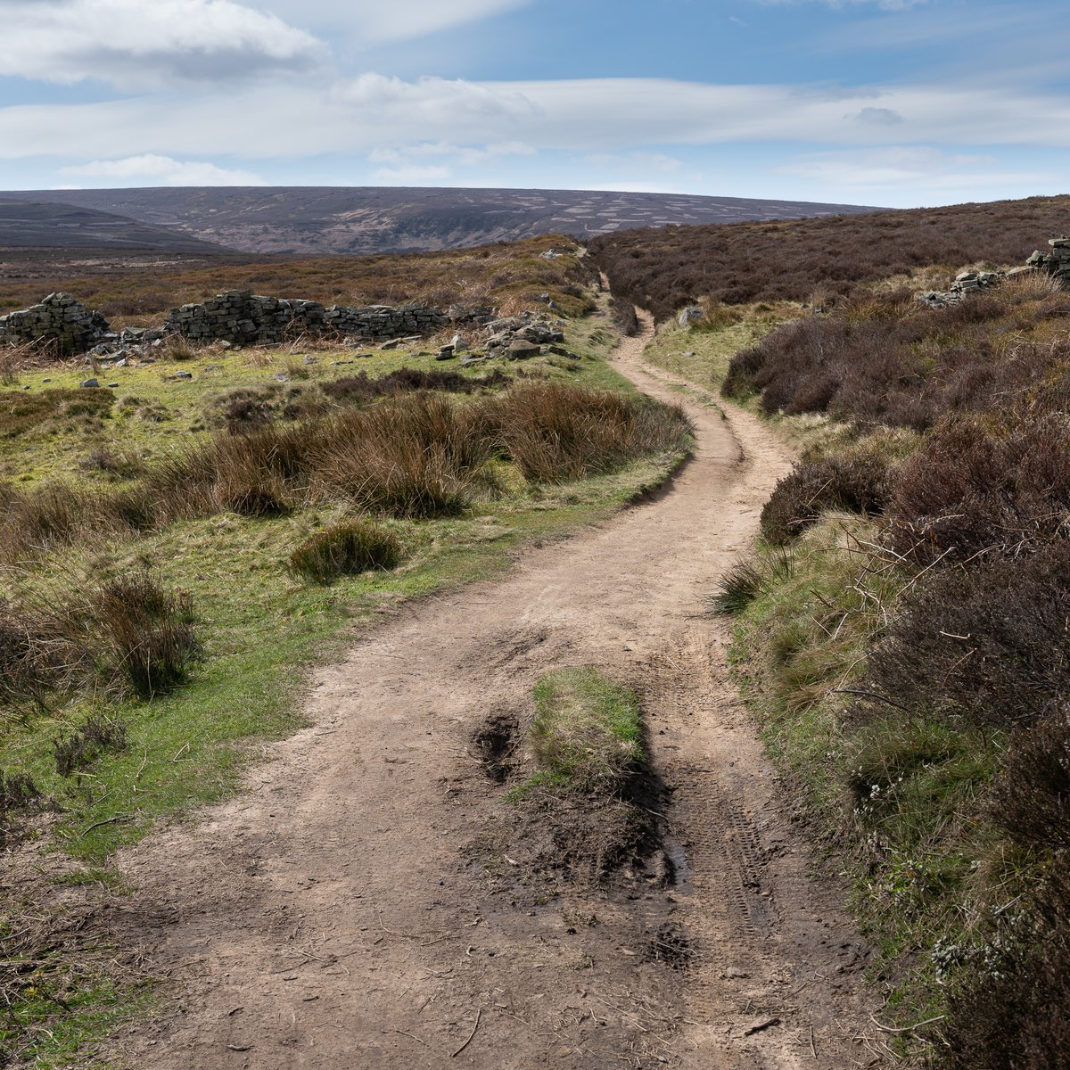 basculeteller's tweet photo. Langsett - Pike Lowe 1 #photography #landscape #Yorkshire #Penistone #PeakDistrict #7km #Flâneur #psychogeography #DarkFairytale #RuralMarginalia #SonyFE1635PZf4 https://t.co/05C24qzod6