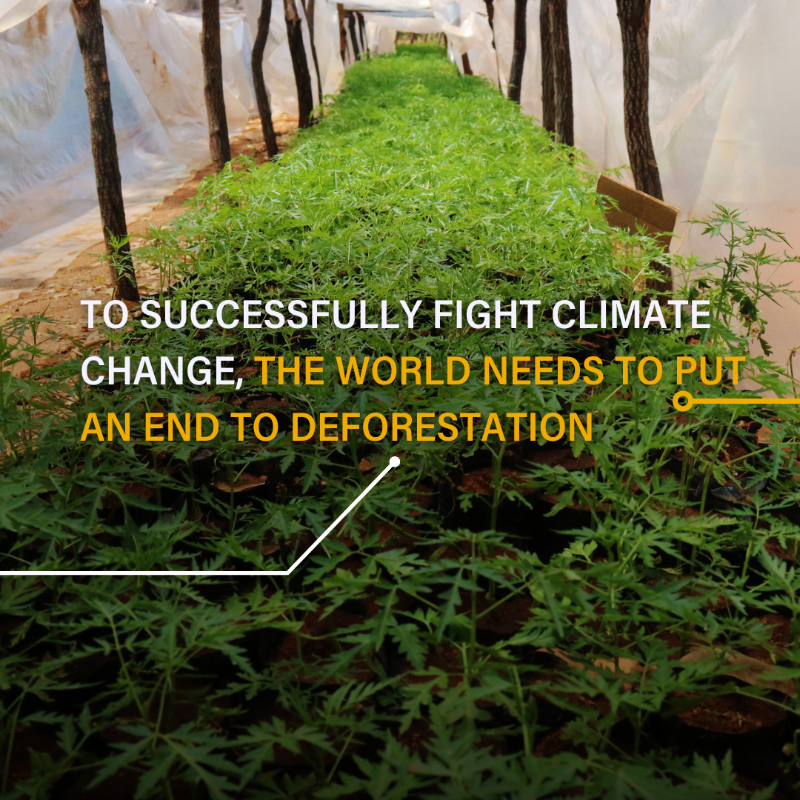WorldResources's tweet photo. Forests support our planet every day, not just #EarthDay!🌳🌍

2023 saw dramatic reductions in primary forest loss, showcasing that political leadership and strong policies work. But the story is not consistent around the world.

Read the Findings👉 https://t.co/vNFwjuy2vx