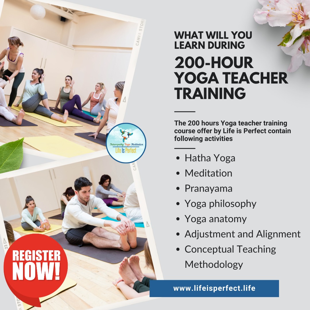 LifeisPerfect0's tweet photo. Join us for our 200-hour teacher training course! 
💯Learn hatha yoga, meditation, and more from experienced instructors. 
#yogalife #rishikeshtraining #200hoursyogatraining #200hoursyoga #200hoursyttc #yogateachertrainingcourseinindia #yogateachertrainingcourse #Sustainability https://t.co/BlbIf2L0Yn