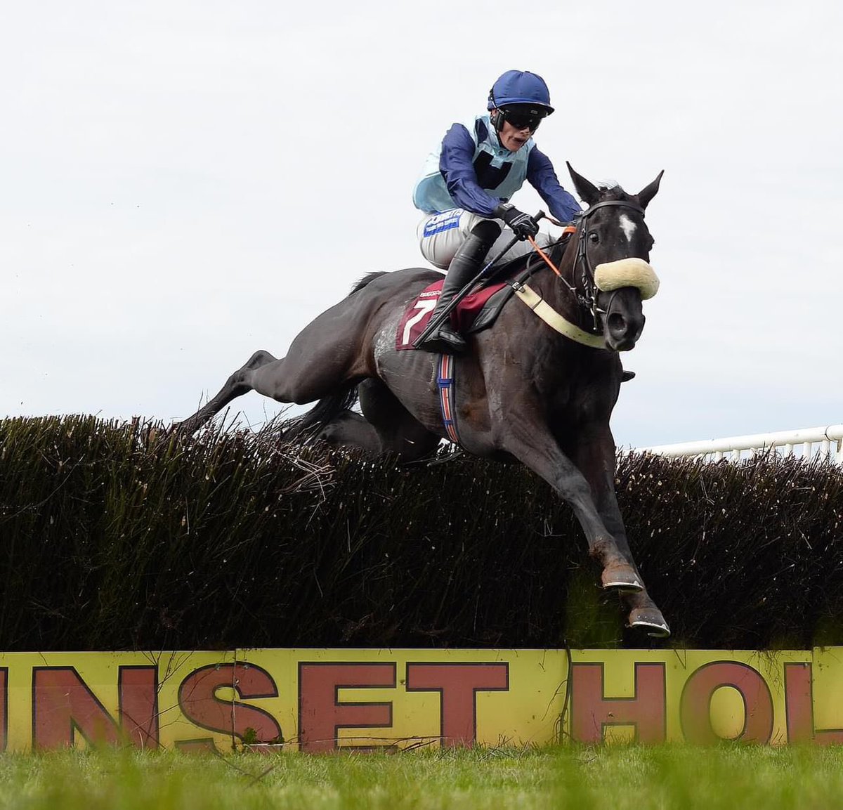 G_G_Racing's tweet photo. Fantastic weekend for the team as 3 winners takes us up to 52 winners for the season. It was a great day at our local track @BangorRaces on Saturday with both Dusautior and Lipa K getting their heads infront both under good rides by Toby Wynne. https://t.co/p9XF3loR1c