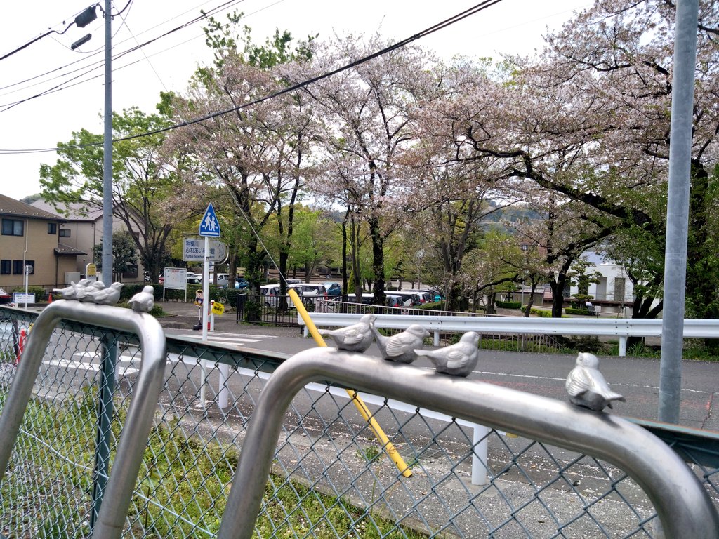 MinGoshTek4's tweet photo. 水族館で #ピコリーノ見つけた

場所　相模川ふれあい科学館駐車場
座標　35.547612,139.329962

駐車場で、アクアリウムに心躍る子どもたちを見守るピコリーノでした
#相模原市 #中央区 https://t.co/cyXVta4MJH