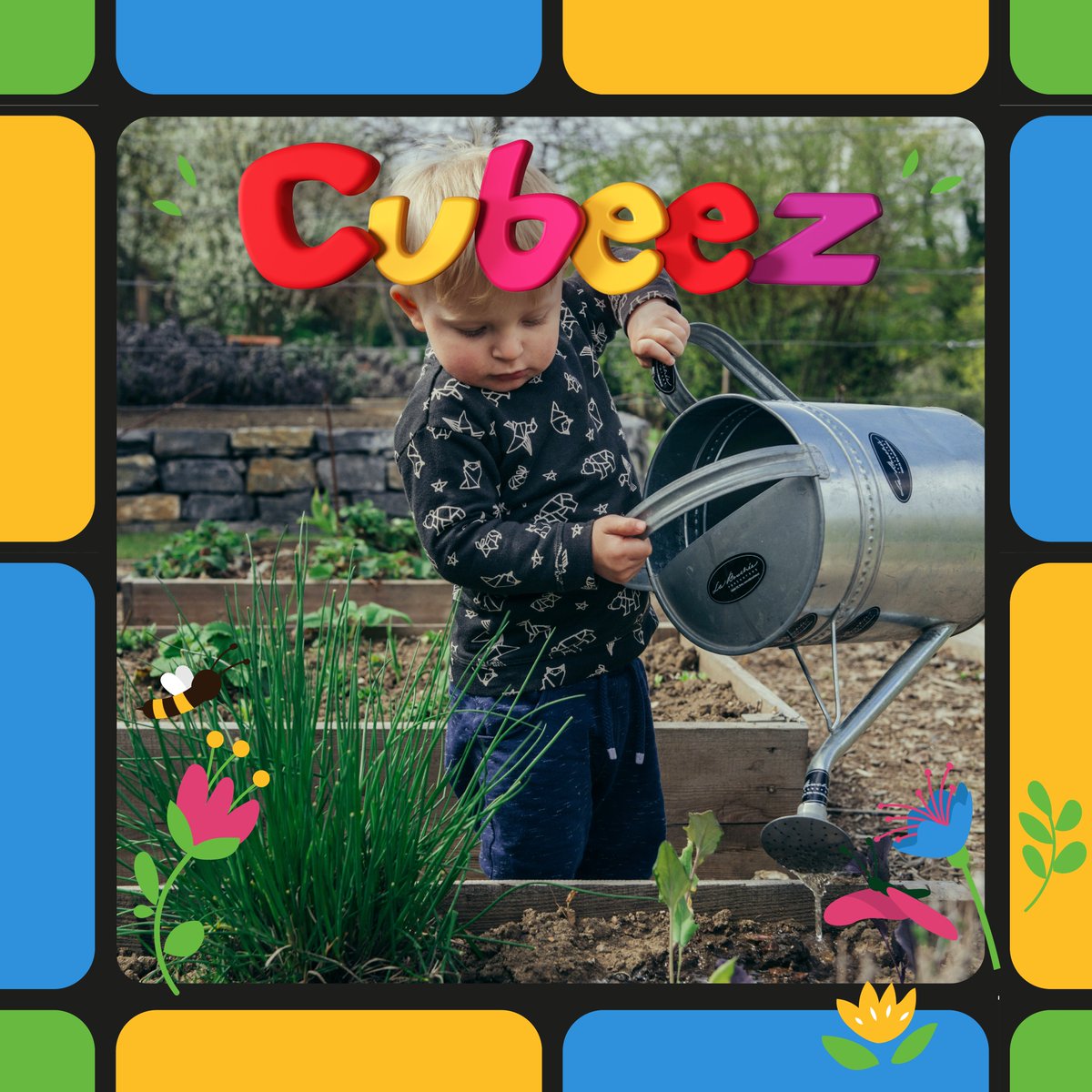 Cubeez tweet media