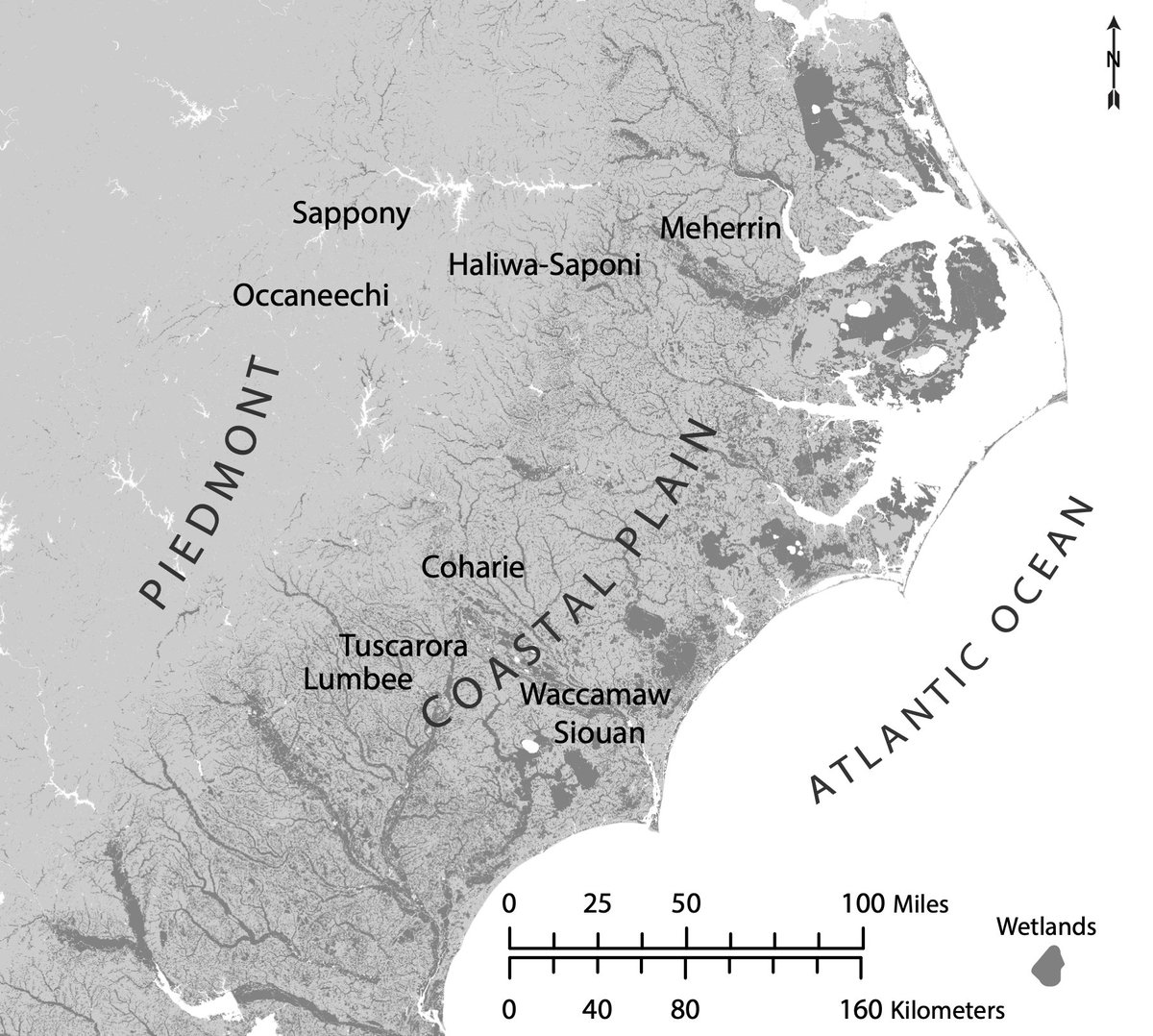 The Southeastern US Coastal Plain is a world of wetlands. It's also home to Lumbee & other Indigenous peoples who still occupy their ancestral homelands. My new book, ON THE SWAMP, is part love song to these beautiful & threatened landscapes. uncpress.org/book/978146967… #EarthDay2024