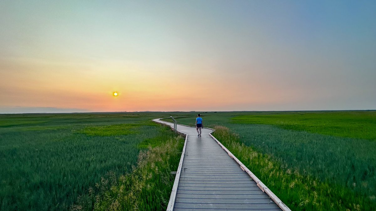 @naturetechfam @GreatDunesNPS @59NationalParks @beckyjlomax @bisontattooguy @e_terren @GarfieldNPS @tthrash @Stars252525 @publiclandlvr @RCGibby73 @kristarsha Our first night out at Badlands, taking the boardwalk out to see the Sunset. The sounds were immaculate and so were the views. One of our favorite parks! #ParkChat #NationalParkWeek