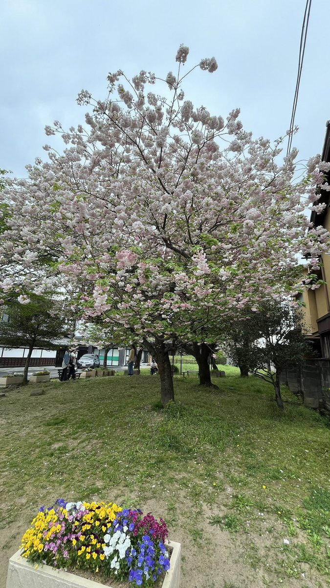 miya5014's tweet photo. 週末��足利さんぽ🚶
雨も降らず過ごしやすかったです
来月も頑張るぞ😤 https://t.co/TWAqVGf6Qe