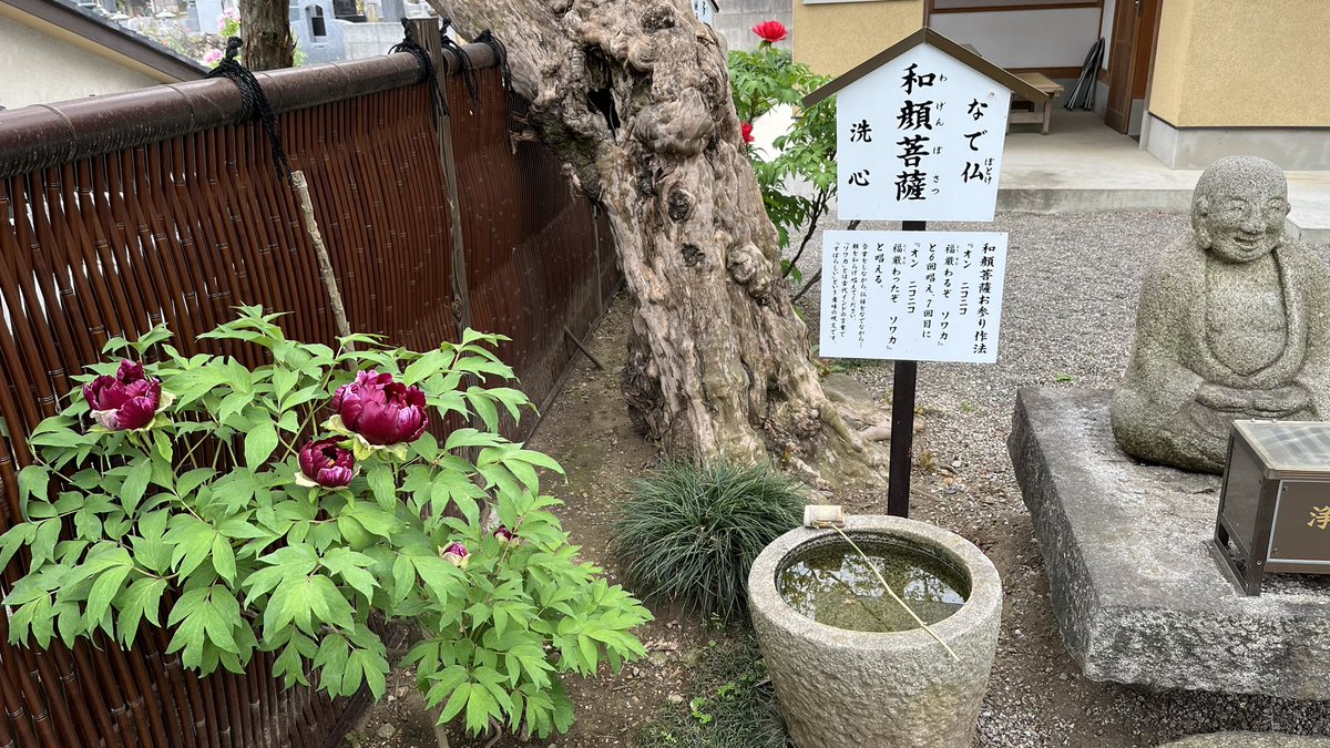 miya5014's tweet photo. 週末��足利さんぽ🚶
雨も降らず過ごしやすかったです
来月も頑張るぞ😤 https://t.co/TWAqVGf6Qe