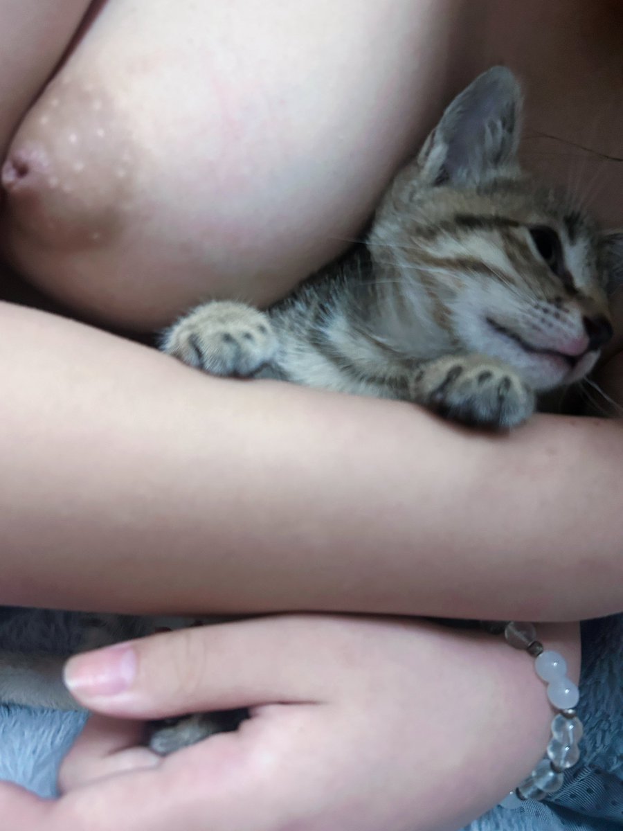 买了只狸花猫回来养。

#反差婊 #母狗 #小沐瑶 #福利姬 #裸聊 #妓女 https://t.co/xIly0gHxIY