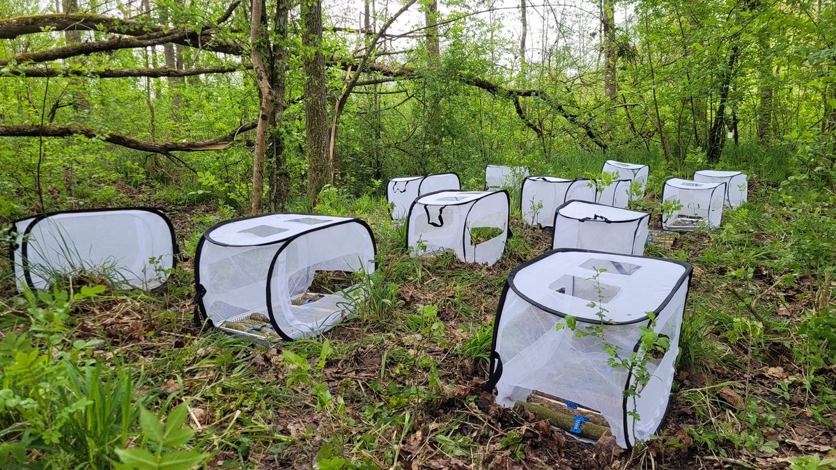 Sebastian Seibold tweet media