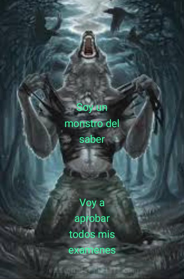 GatitoJoseos's tweet image. 