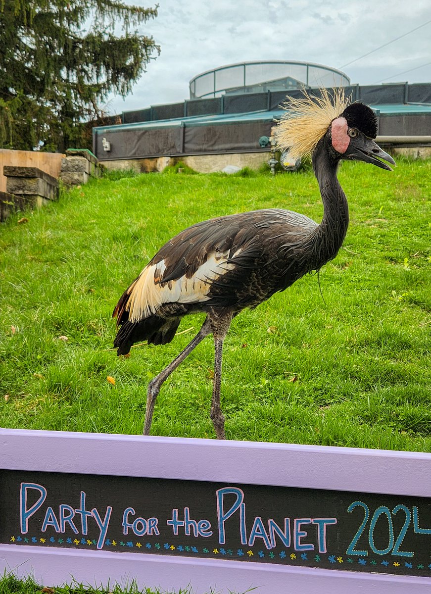 Happy #EarthDay! 🌎 At the Zoo, we party for the planet every day. Our mission is to protect wildlife and wild places, one feather (or fin, or scale, or furry friend) at a time! #EarthDayEveryDay