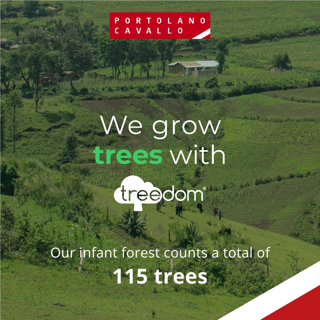 🌎Happy #EarthDay! We celebrate our planet by saving more than 27 tons of CO2 every year with our forest of trees, thanks to @Treedom. 🌳Our infant counts 115 trees, planted across Cameroon, Colombia, Kenya, Ghana, Malawi, and Madagascar. 👉Our forest: treedom.net/en/organizatio…