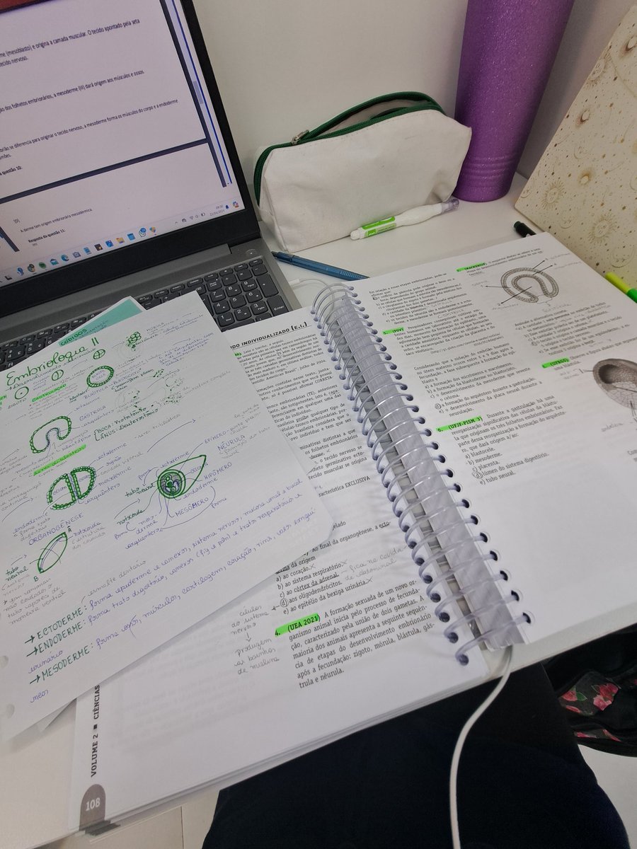 05studynessa's tweet image. 1° aula - Embriologia ✅️