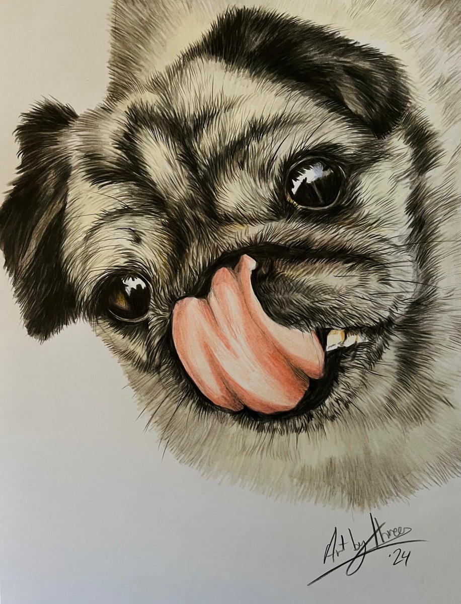 Meet Peppa our latest pet portrait. Have you ever seen such a long tongue? Always an honour to draw someone's pet and whatever the size from hamster to horse if you would like one just ask #EarlyBiz #ukmakers #TuesdayFeeling #elevenseshour #MHHSBD #petportraits #PugLover