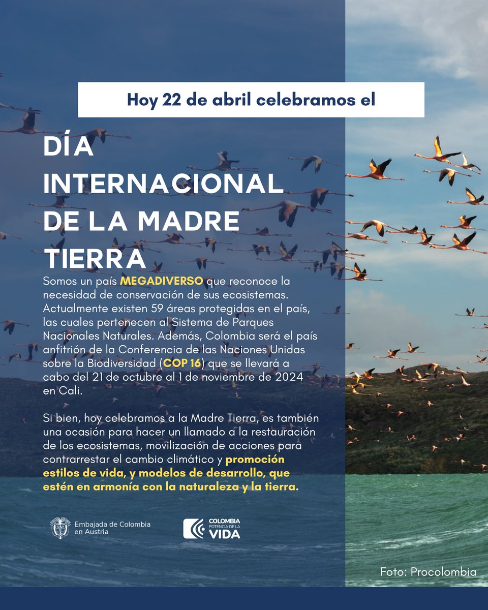 🌳La protección de la Madre Tierra es una responsabilidad de todos. Recuerda el principio de las tres R: ♻️Reduce ♻️Reúsa ♻️Recicla Emprendamos acciones individuales que nos conduzcan a cambios colectivos⛰️🐝🌎🌊