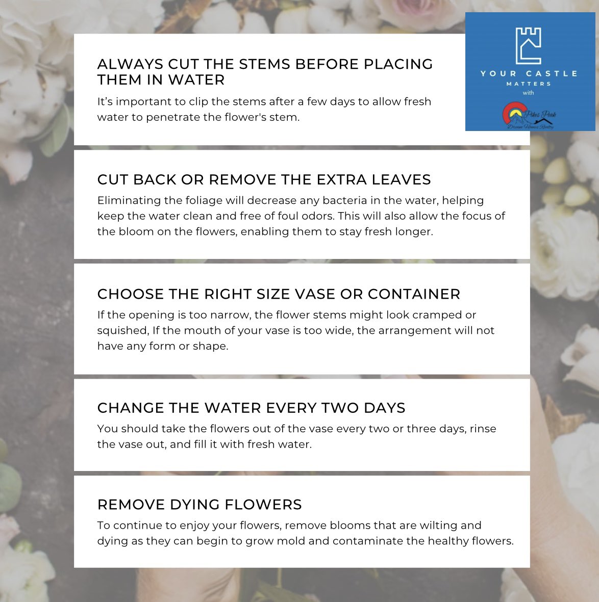 You don't need to spend a fortune on professional florists to achieve stunning floral arrangements in your own home. 

 #DIYFlorist #HomeDecorGoals #RealEstateAgent 
#yourcastlematters #p4p #providing4providers #coloradoliving #realestate #investinyou #homesweethome #Godisgood