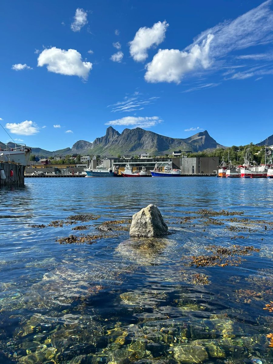 Really will always miss this land of the free. #Norway #Lake