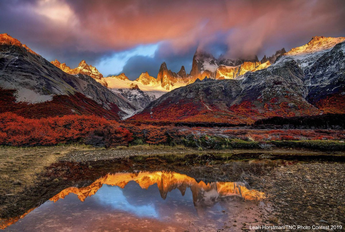 nature_org's tweet photo. Happy #EarthDay! Today we are filled with hope – thanks to the dedication of so many people like you who are shaping a brighter future for our beautiful planet. 

We all have a role to play in sharing our planet’s future. Here are four ways to get started: https://t.co/pchzRlJPCN https://t.co/FYTxJ4u28d