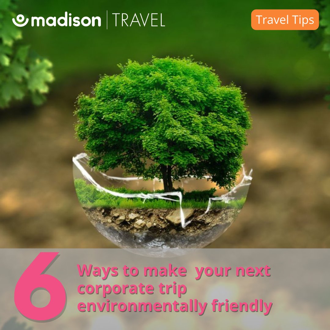 🌎 Celebrate Earth Day by making travel more sustainable! Here are 6 tips to help you get started 👇

bit.ly/4aHpF8Q

#EarthDay2024 #traveltips #sustainability #incentivetravel #corporatetravel